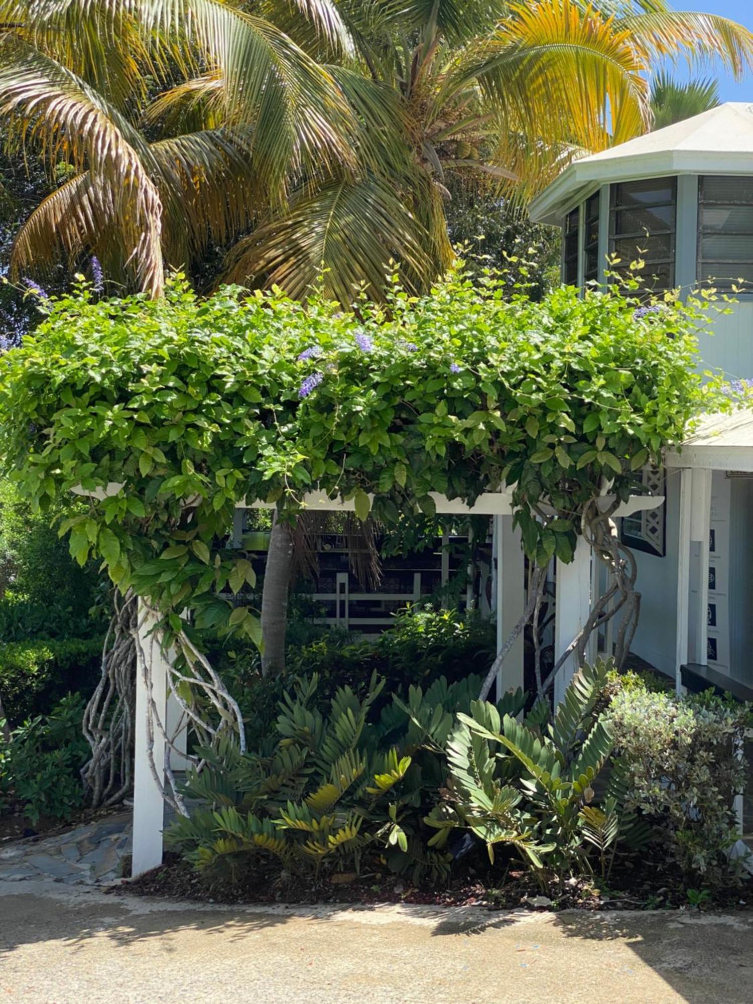 Club Seabourne Hotel Isla Culebra Ngoại thất bức ảnh